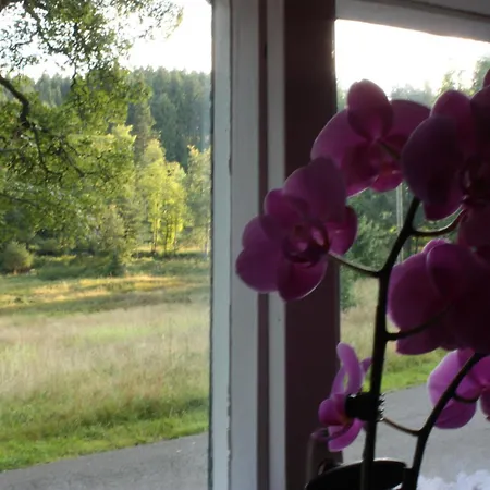 Obere Schweizerhuette 3*