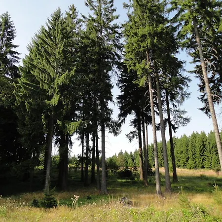 Obere Schweizerhuette