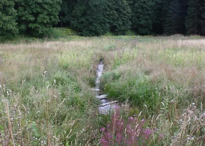 Obere Schweizerhuette Oberhof (Thuringia)