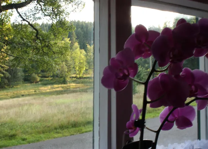 Obere Schweizerhütte 3*