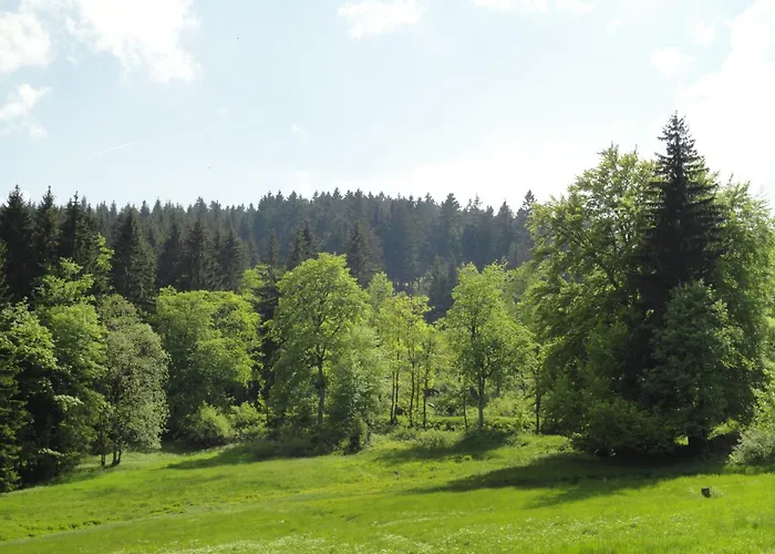 Obere Schweizerhütte Gasthof Oberhof (Thuringia)