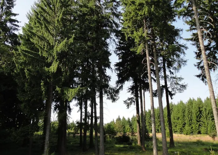 Obere Schweizerhuette